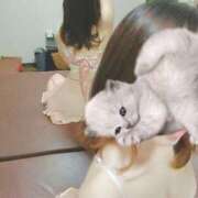 ヒメ日記 2025/05/26 18:44 投稿 二条　さやか【おっとり関西美人】 Salon de Flawless（サロンドフローレス）