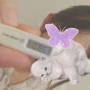 ヒメ日記 2025/06/16 13:03 投稿 二条　さやか【おっとり関西美人】 Salon de Flawless（サロンドフローレス）