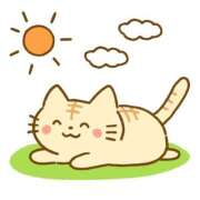 ヒメ日記 2025/06/24 10:31 投稿 二条　さやか【おっとり関西美人】 Salon de Flawless（サロンドフローレス）