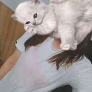 ヒメ日記 2025/08/10 09:39 投稿 二条　さやか【おっとり関西美人】 Salon de Flawless（サロンドフローレス）