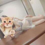 ヒメ日記 2025/08/12 22:15 投稿 二条　さやか【おっとり関西美人】 Salon de Flawless（サロンドフローレス）