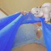 ヒメ日記 2025/11/27 09:20 投稿 二条　さやか【おっとり関西美人】 Salon de Flawless（サロンドフローレス）