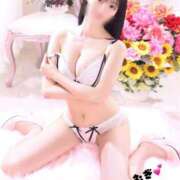 ヒメ日記 2025/12/17 01:01 投稿 ムギ マテリアル