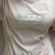ムギ いっぱい??? マテリアル
