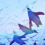 ヒメ日記 2025/09/18 18:01 投稿 ルリ マテリアル