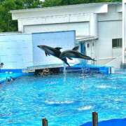 ヒメ日記 2025/10/15 16:01 投稿 ルリ マテリアル