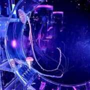 ヒメ日記 2025/12/12 18:46 投稿 ルリ マテリアル