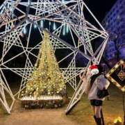 ヒメ日記 2025/12/17 16:16 投稿 ルリ マテリアル