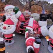 ヒメ日記 2025/12/24 18:46 投稿 ルリ マテリアル