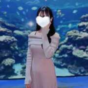 ヒメ日記 2026/02/04 22:01 投稿 ルリ マテリアル