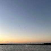 ヒメ日記 2025/06/19 23:55 投稿 今田 AROMA VENUS