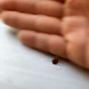 ヒメ日記 2025/06/22 17:56 投稿 今田 AROMA VENUS