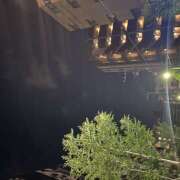 ヒメ日記 2025/07/29 03:51 投稿 今田 AROMA VENUS