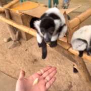 ヒメ日記 2025/08/13 16:22 投稿 今田 AROMA VENUS