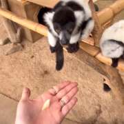 ヒメ日記 2025/08/13 16:43 投稿 今田 AROMA VENUS