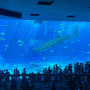 ヒメ日記 2025/10/13 19:50 投稿 今田 AROMA VENUS