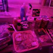 ヒメ日記 2026/01/20 02:48 投稿 今田 AROMA VENUS