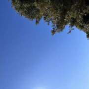 ヒメ日記 2026/01/23 13:01 投稿 今田 AROMA VENUS