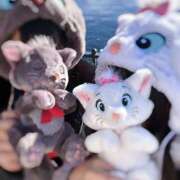 ヒメ日記 2026/02/28 23:23 投稿 今田 AROMA VENUS