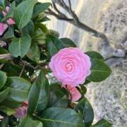 ヒメ日記 2026/03/22 18:04 投稿 今田 AROMA VENUS