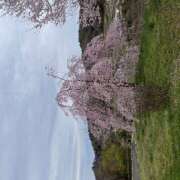 ヒメ日記 2026/04/07 14:41 投稿 今田 AROMA VENUS