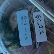 ヒメ日記 2026/07/04 13:57 投稿 今田 AROMA VENUS