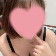 ヒメ日記 2025/05/10 03:27 投稿 アミカ(奥方) 奥様幕府