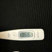 ヒメ日記 2025/05/12 14:47 投稿 アミカ(奥方) 奥様幕府