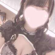 ヒメ日記 2025/05/06 19:01 投稿 れい 五反田くぃーんず