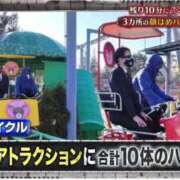 ヒメ日記 2025/05/05 20:02 投稿 きい 人妻本舗愛のしずく名古屋店