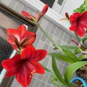 ヒメ日記 2025/06/14 15:53 投稿 皐月（さつき） やみつきの館　鶯谷店