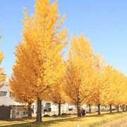 皐月（さつき） 過ごしやすくなってきましたね♡ やみつきの館　鶯谷店