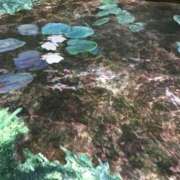 ヒメ日記 2025/07/05 22:47 投稿 さちか 全裸のいいなり美女OR満員ちかん電車