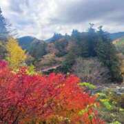 ヒメ日記 2025/11/19 10:41 投稿 みずほ 大和人妻城