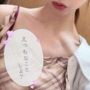 ヒメ日記 2025/06/16 15:24 投稿 れんか 人妻・若妻デリヘル レディプレイス