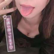 れんか はやくシたい🐱💕 人妻・若妻デリヘル レディプレイス