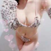 ヒメ日記 2025/05/11 03:03 投稿 ルイ キャンディ(鹿児島)