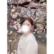 ヒメ日記 2025/06/02 14:34 投稿 三谷ゆらの ブルーバード