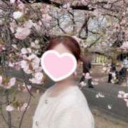 ヒメ日記 2025/06/04 00:24 投稿 三谷ゆらの ブルーバード