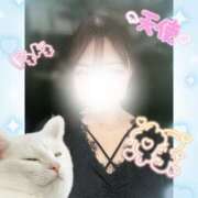 ヒメ日記 2025/07/02 18:54 投稿 三谷ゆらの ブルーバード