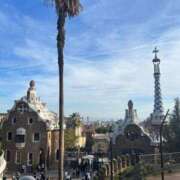 ヒメ日記 2025/07/18 02:54 投稿 三谷ゆらの ブルーバード