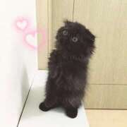 ヒメ日記 2025/08/19 19:19 投稿 三谷ゆらの ブルーバード