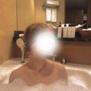 ヒメ日記 2025/11/15 23:44 投稿 三谷ゆらの ブルーバード