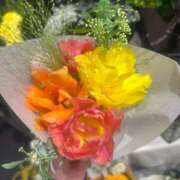 ヒメ日記 2026/02/19 19:34 投稿 三谷ゆらの ブルーバード