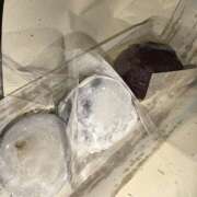 ヒメ日記 2025/11/10 11:56 投稿 あいざわ あるまぎ！