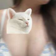 ヒメ日記 2026/04/06 14:12 投稿 あいざわ あるまぎ！