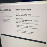 ヒメ日記 2026/04/26 12:59 投稿 あいざわ あるまぎ！