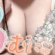 ヒメ日記 2025/06/05 20:11 投稿 みき 白いぽっちゃりさん五反田店