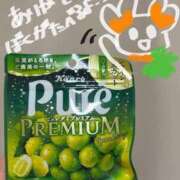 ヒメ日記 2026/02/05 01:39 投稿 みき 白いぽっちゃりさん五反田店