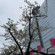 ヒメ日記 2026/04/07 21:29 投稿 みき 白いぽっちゃりさん五反田店